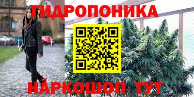 МДПВ Дубна