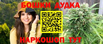 МДПВ Дубна